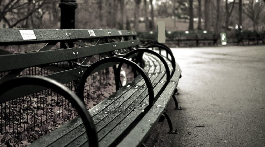 central-park-bench